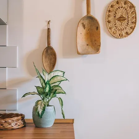 Apartamento Kardamom